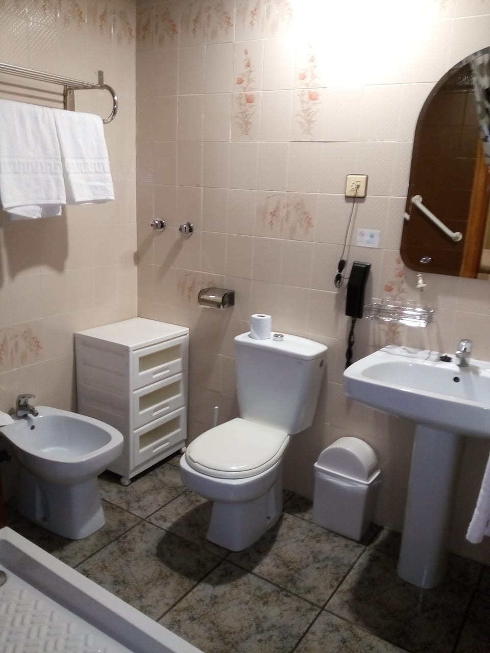 Hair dryer, bidet, towels