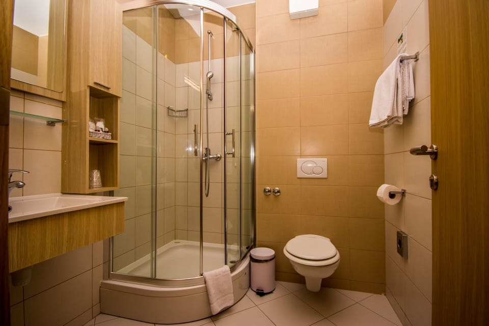 Shower, free toiletries, hair dryer, bathrobes