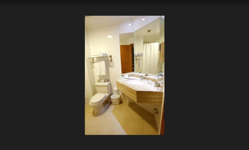 Combined shower/tub, free toiletries, hair dryer, towels