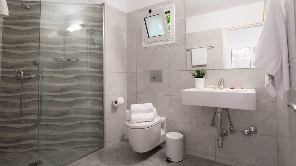 Standard Studio | Bathroom | Shower, hair dryer, towels, soap