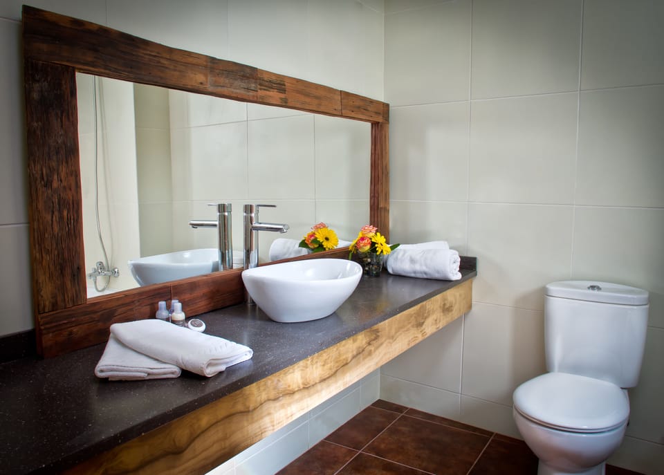 Free toiletries, hair dryer, towels
