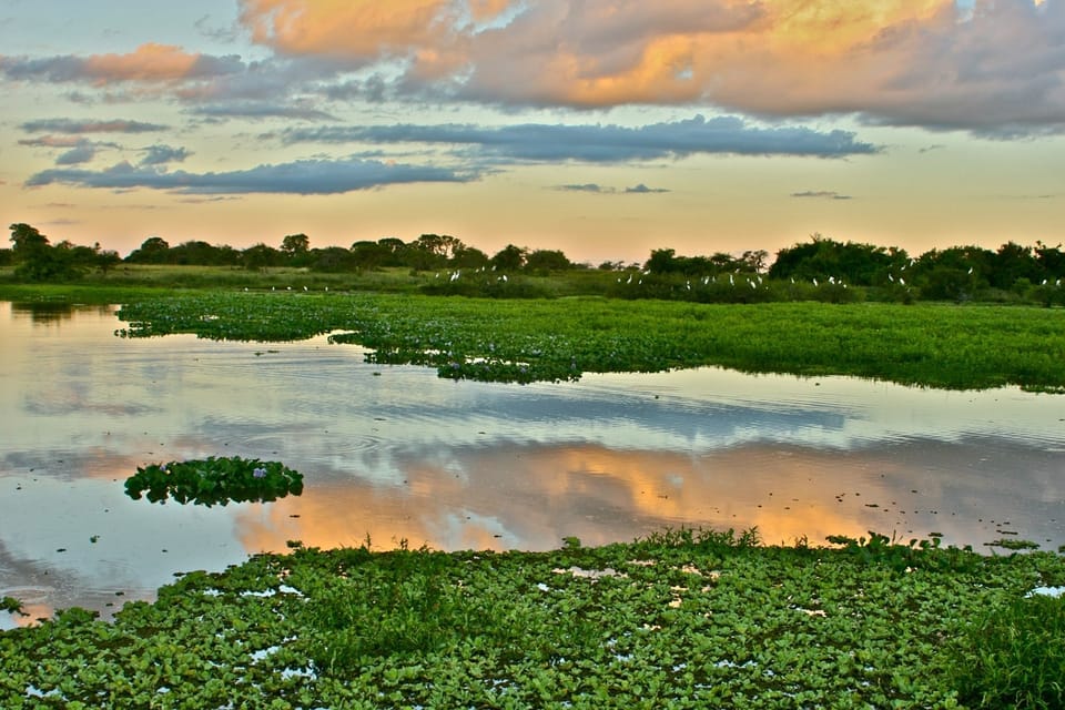Lake