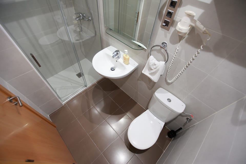 Double or Twin Room | Bathroom | Shower, hair dryer, towels