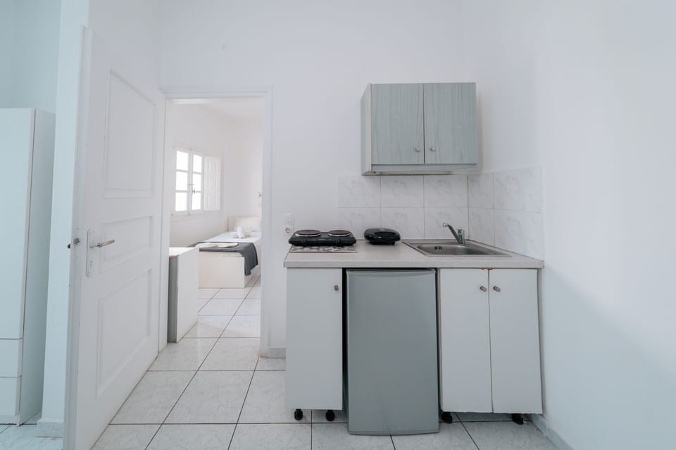 Family Apartment | Private kitchenette | Fridge, cookware/dishes/utensils
