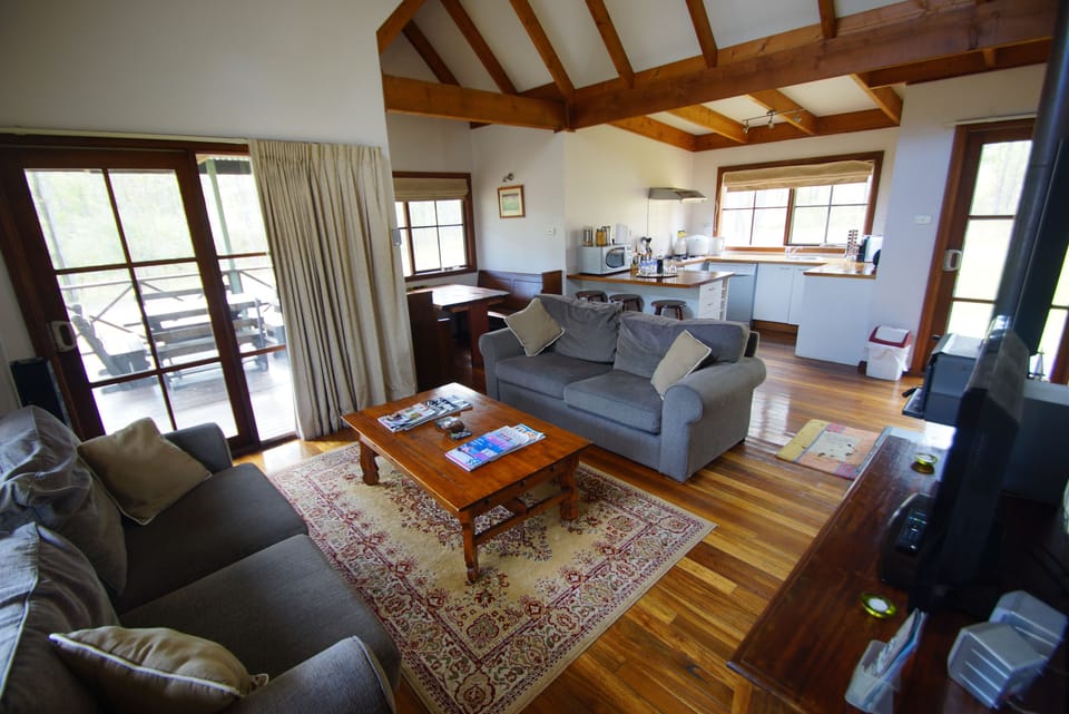 Plasma TV, fireplace, DVD player