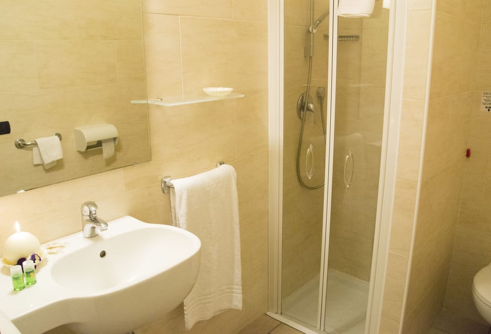 Shower, free toiletries, hair dryer, bidet
