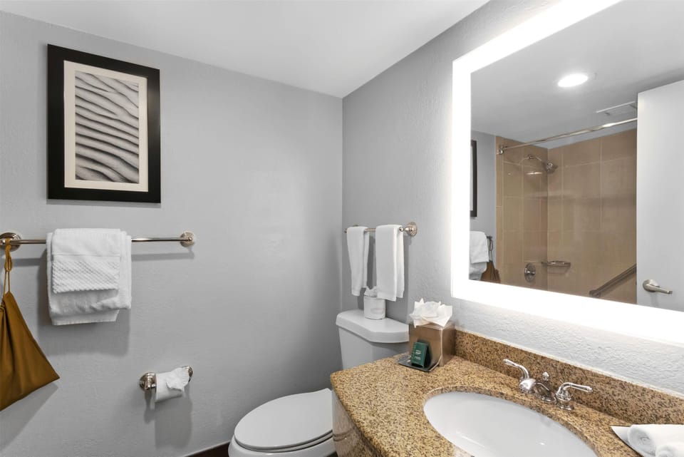 Eco-friendly toiletries, hair dryer, towels, soap
