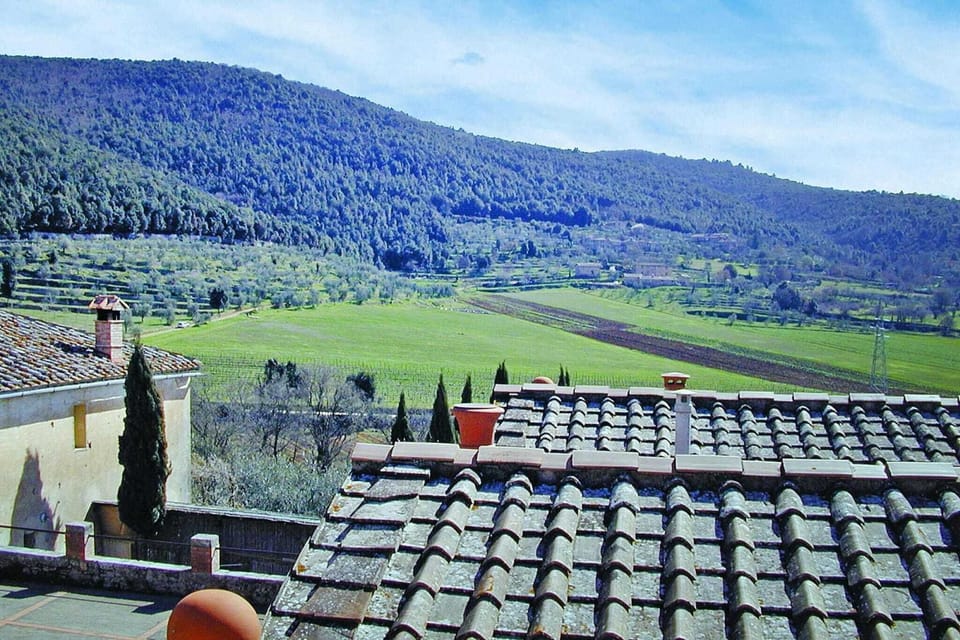 View from Holiday Home [summer]
