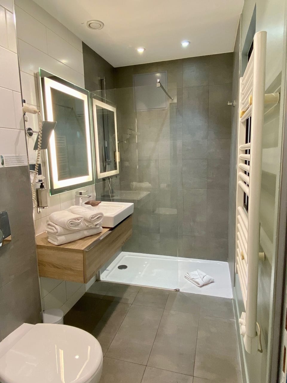 Superior Room | Bathroom | Shower, free toiletries, hair dryer, towels