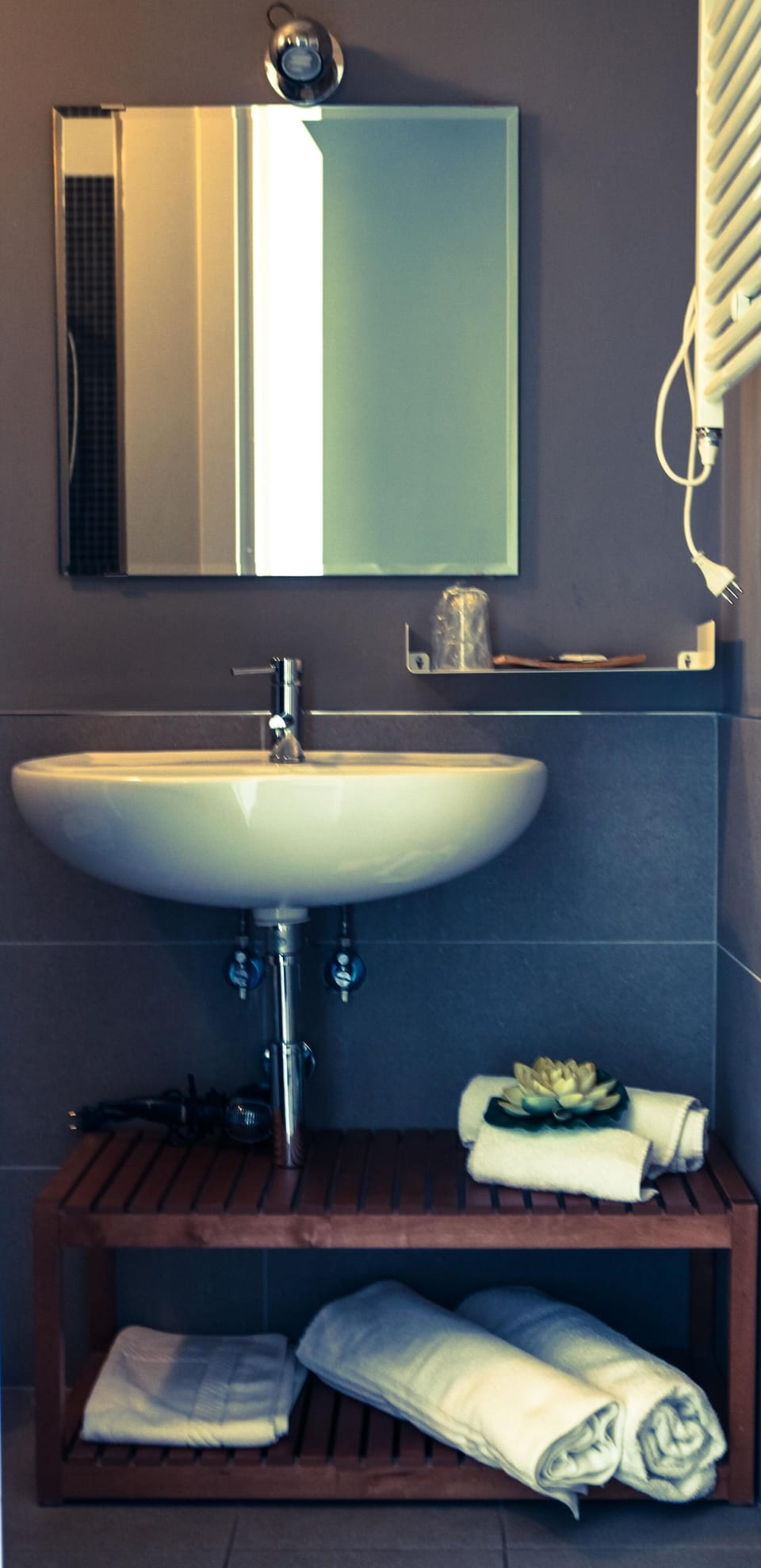 Deluxe Room | Bathroom | Shower, rainfall showerhead, free toiletries, hair dryer
