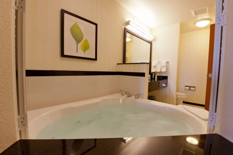 Suite, 1 King Bed with Sofa bed, Bathtub | Bathroom | Combined shower/tub, free toiletries, hair dryer, towels