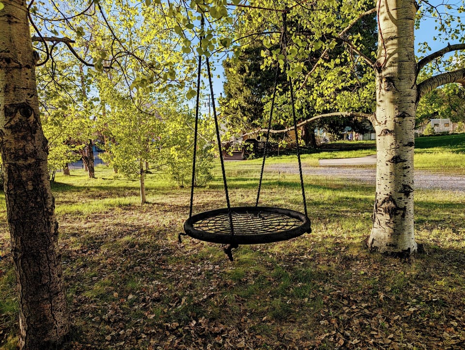 Tree swing