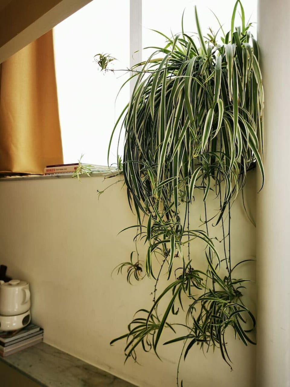 Interior detail