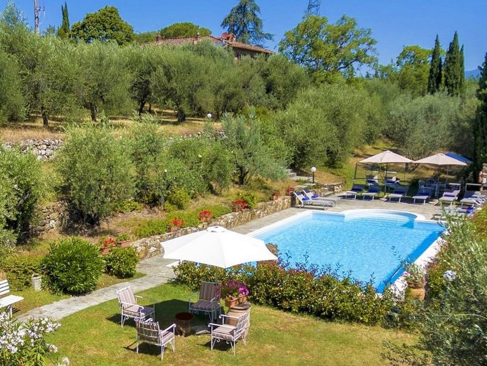 Pool and garden