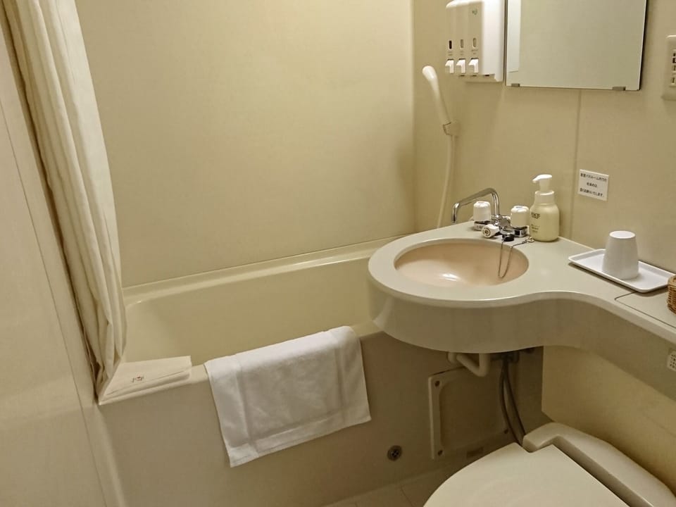 Bathtub, shower, toilet, shampoo & rinse, soap, towel, bath towel