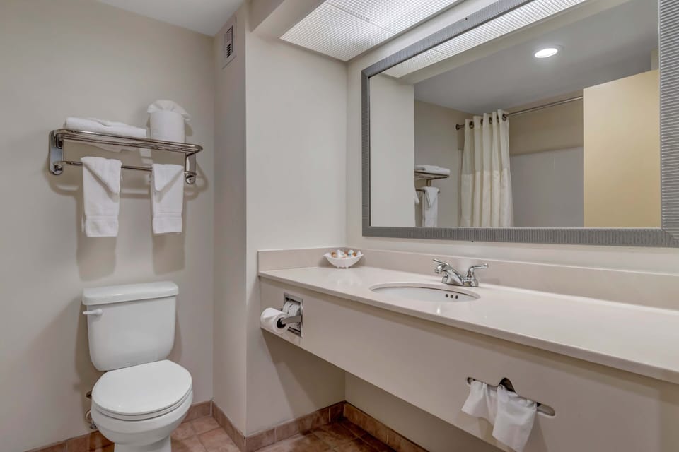 Combined shower/tub, free toiletries, hair dryer, towels