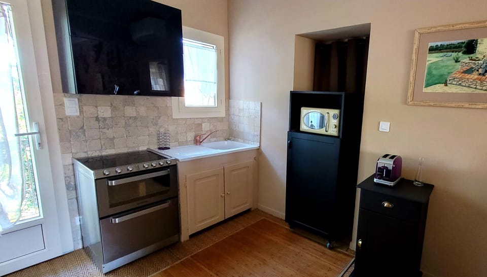 Family Apartment, Kitchenette, Pool View | Private kitchen | Electric kettle