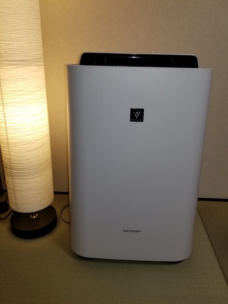 Air cleaner
