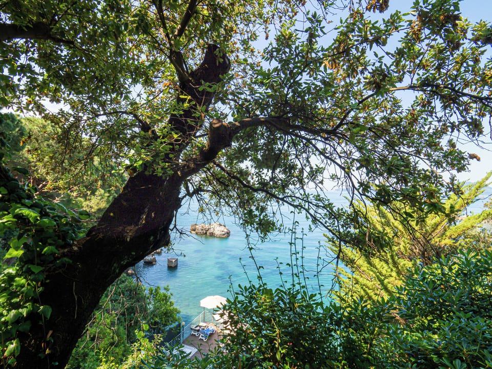 Panoramic Double Room, Sea View | View from room