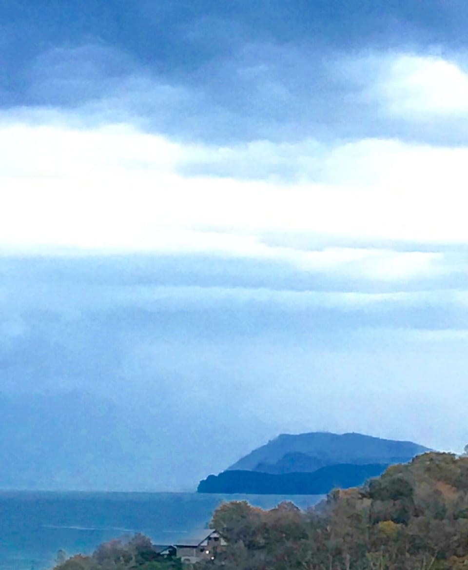Beach/ocean view