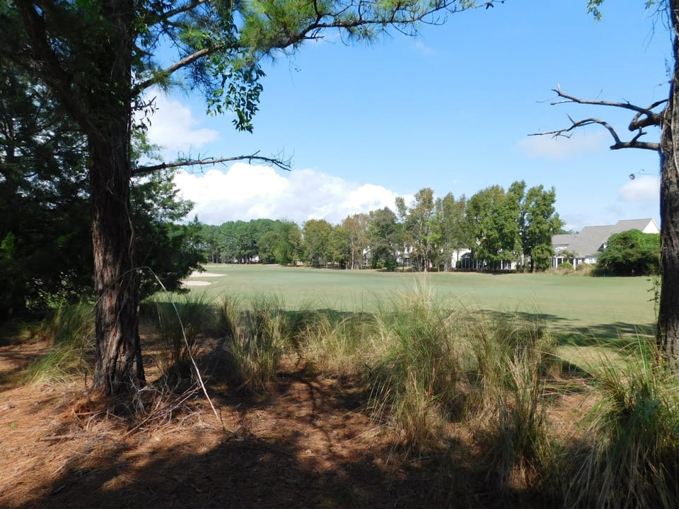 View from patio: The Norman Course