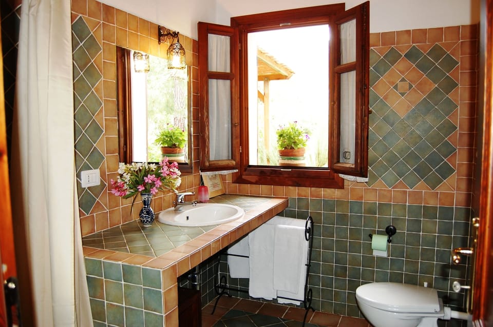 Shower, free toiletries, hair dryer, bidet