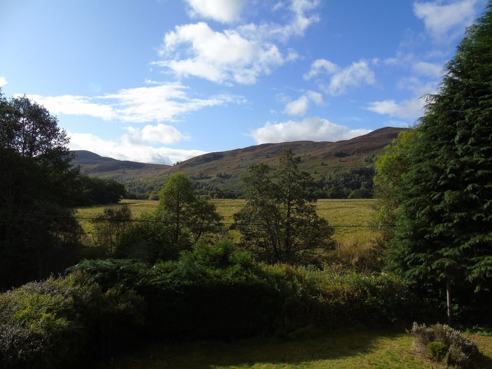 View from the garden