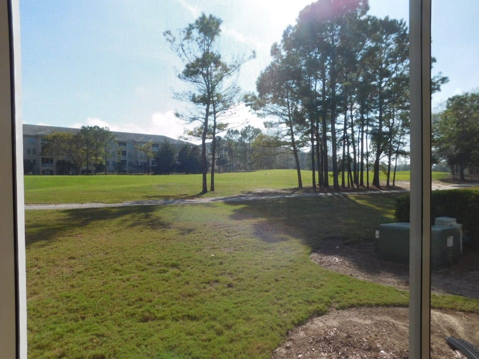 View from Patio