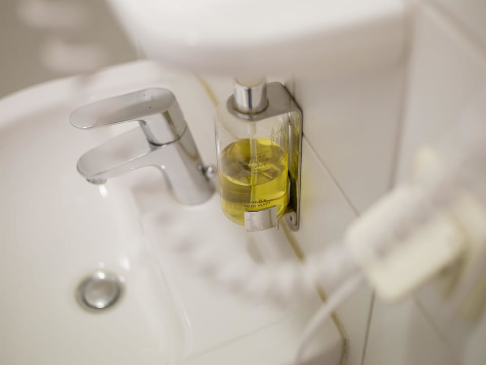 Shower, eco-friendly toiletries, hair dryer, towels