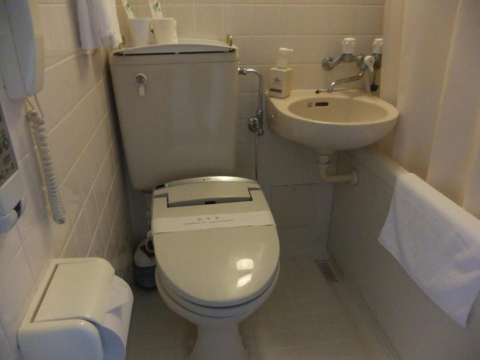 Combined shower/tub, free toiletries, hair dryer, bathrobes