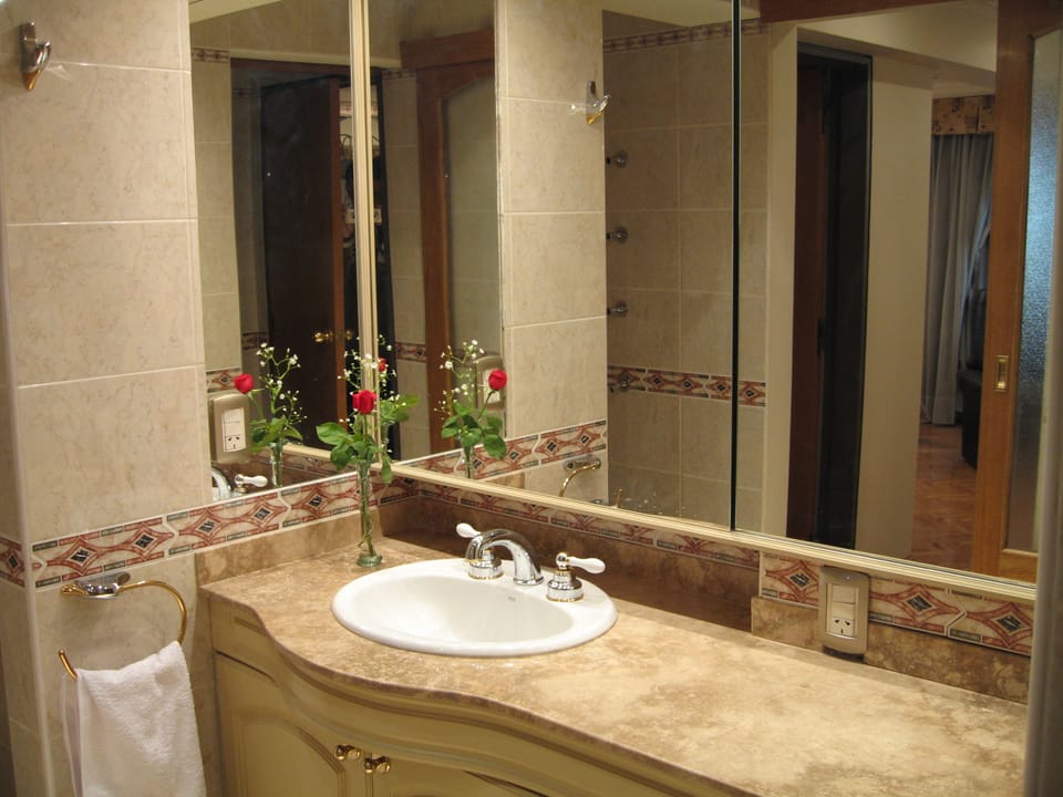 Combined shower/tub, deep soaking tub, free toiletries, hair dryer
