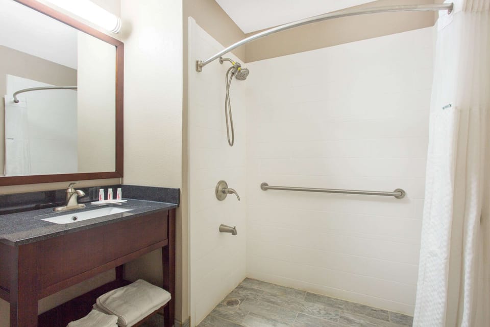 Room, 1 King Bed, Accessible, Non Smoking | Bathroom shower