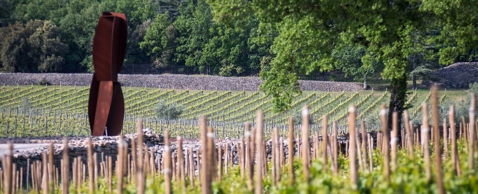 Vineyard