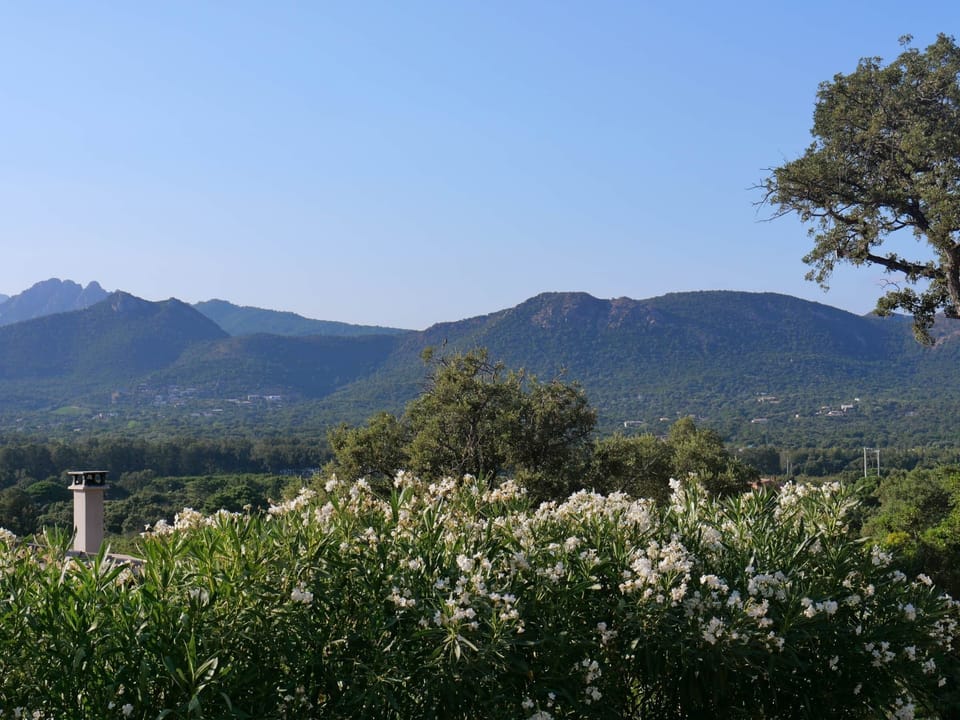 Garden with mountain view