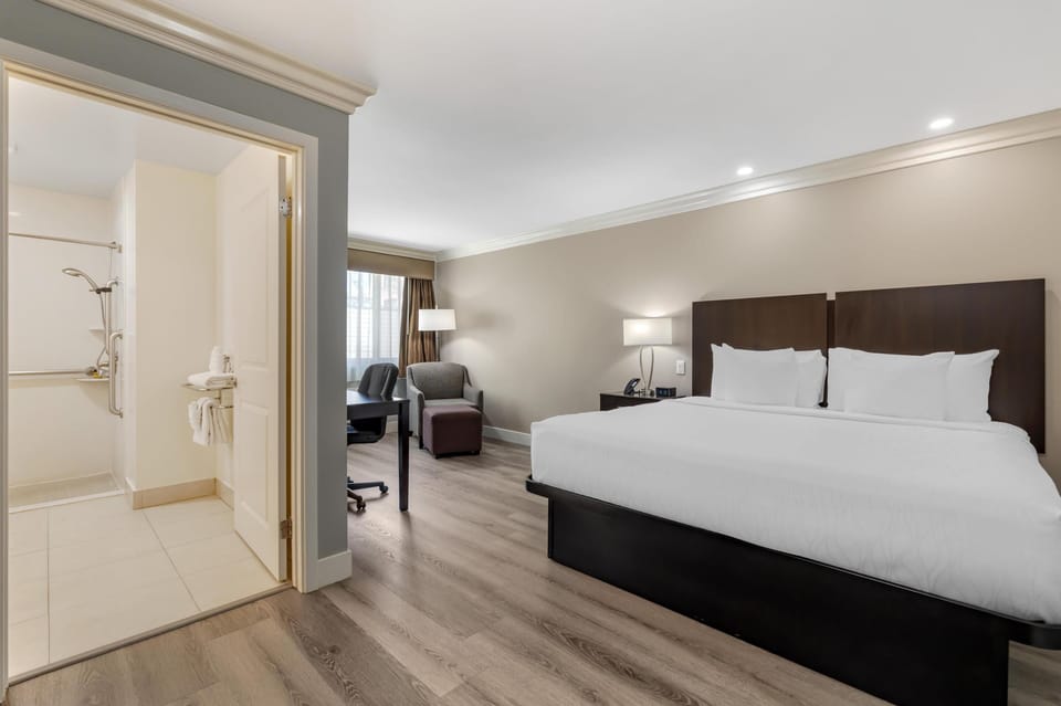 Standard Room, 1 King Bed, Accessible, Non Smoking | Egyptian cotton sheets, pillowtop beds, in-room safe, desk