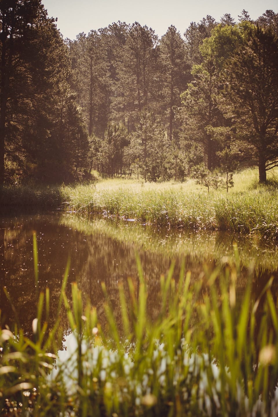 2ae92854-c417-40c0-b42c-6f7d4433c17d