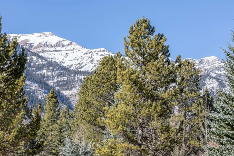 View from Living Area