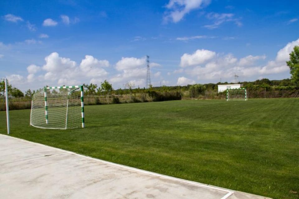 Sport court
