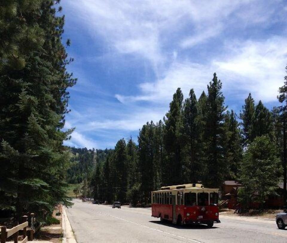 trolley stops right in front of cabin to take you 