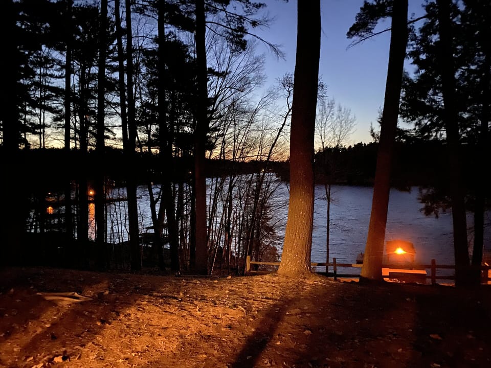 View looking out from the basement! 