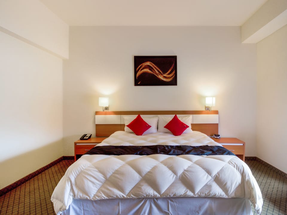 Superior Room | Premium bedding, down comforters, in-room safe, desk