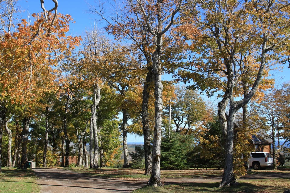 Land view from property