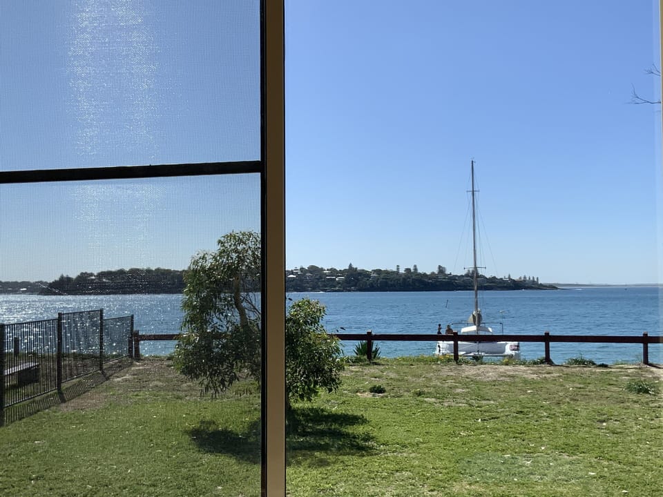 View from sunroom