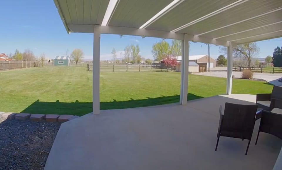 Back yard view