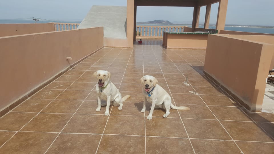 Top Deck Patio With Spectacular views