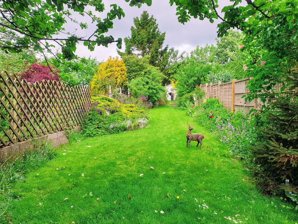 Lush garden with plenty of space for relaxing.