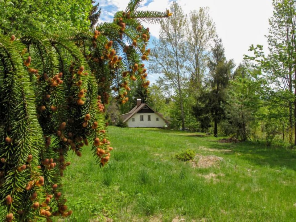 Place