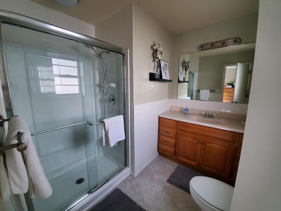 Lower Level. Main Bathroom.