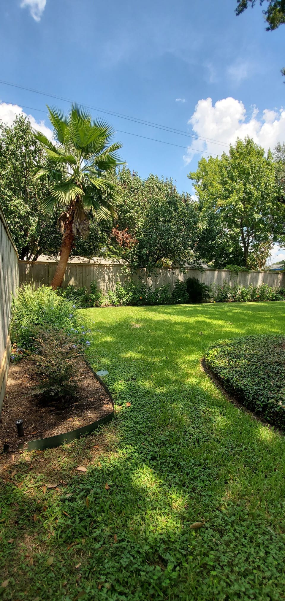 Large beautiful back yard and plenty of room for Children or Pets to play