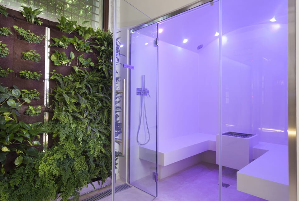 Sauna, hot tub, steam room, Turkish bath